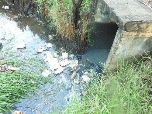 IMG_1581741986244_1581742553188