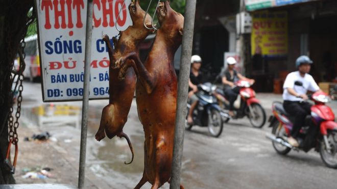 Ảnh minh họa nguồn internet.