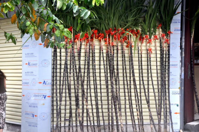 Bán mía lộc cũng là một trong những công việc được nhiều bạn trẻ lựa chọn. Ảnh: minh họa