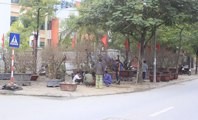 Hương Tết sớm hối hả tr&agrave;n về thủ đ&ocirc;