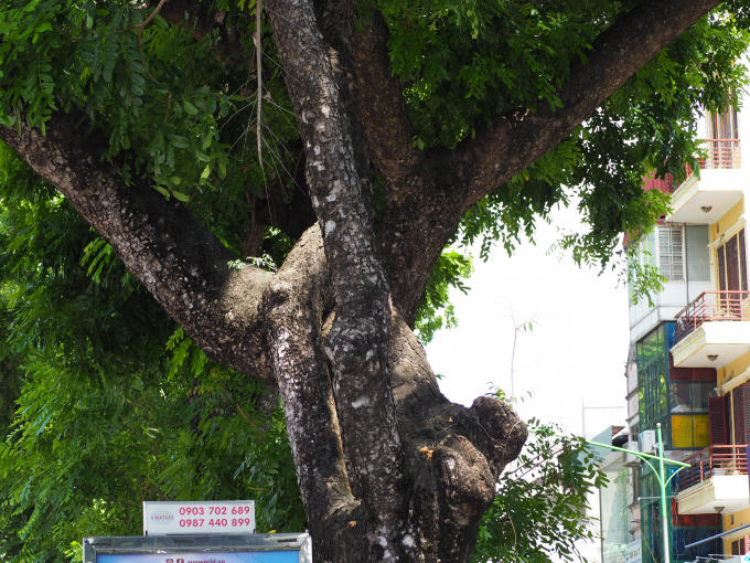 H&agrave;ng x&agrave; cừ cuối c&ugrave;ng tr&ecirc;n đường Kim M&atilde; trước giờ di dời