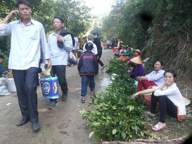 Du khách đến nơi đây ngoài du xuân thưởng ngoạn, còn có thể lựa chọn các đặc sản như lá lồm để nấu canh, củ mài, củ sắn dây, măng rừng, chè xánh đặc biệt của núi Nưa...do cư dân bản địa trực tiếp bán. (Ảnh: A.Thắng)