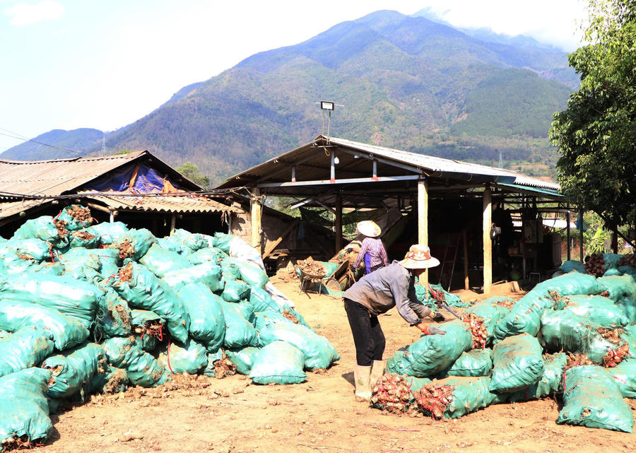 z4983630582025_f239a862dc7e10bd35c4d98bf2ea470d