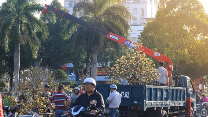 Kh&aacute;m ph&aacute; chợ hoa ở Đắk Lắk trước ng&agrave;y tết Đinh Dậu 2017