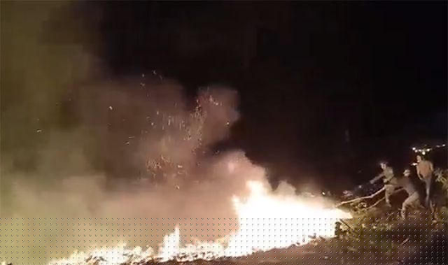 Các lực lượng dùng cành cây, máy thổi dập lửa, không để đám cháy lan rộng.