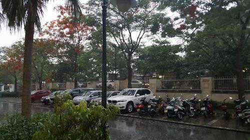 Hà Nội ngày mai sẽ có mưa rào rải rác có giông vào chiều tối và đêm. Ảnh: minh họa/Nguồn: Ngọc Linh