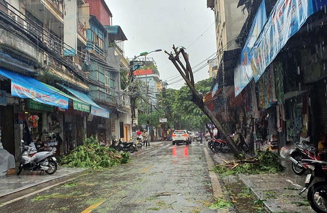 Hà Nội mưa liên tục sau bão, cây xanh gãy đổ ở nhiều nơi - 6