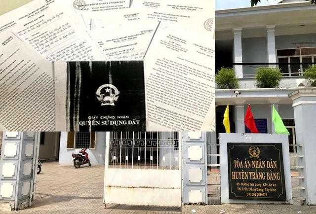 Sau nhiều năm, từ chỗ có hơn 7.000m2 đất được cấp GCNQSDĐ hợp pháp thì đến nay gia đình ông Gấm trở nên trắng tay