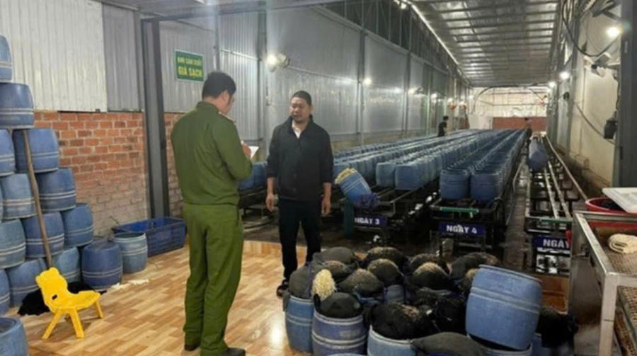 Đối tượng Lâm Văn Đạo sản xuất giá đỗ ủ chất cấm nhập cho siêu thị Bách Hóa Xanh. Ảnh: Công an tỉnh Đắk Lắk