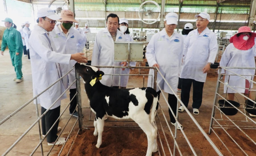 UBND tỉnh mời gọi các doanh nghiệp, nhà đầu tư chiến lược uy tín và tiềm lực tài chính, công nghệ đầu tư vào lĩnh vực nông nghiệp công nghệ cao. (Ảnh: Minh Phúc)