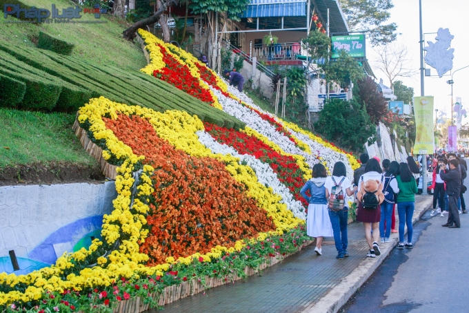 Xuất hiện trên nhiều con đường ở trung tâm TP. Đà Lạt. (Ảnh: Anh Phong)