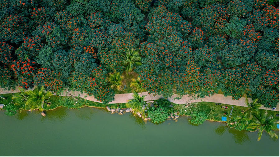 Cung đường Thanh Mai, vợ chồng bác Trần Tuấn thể dục mỗi ngày