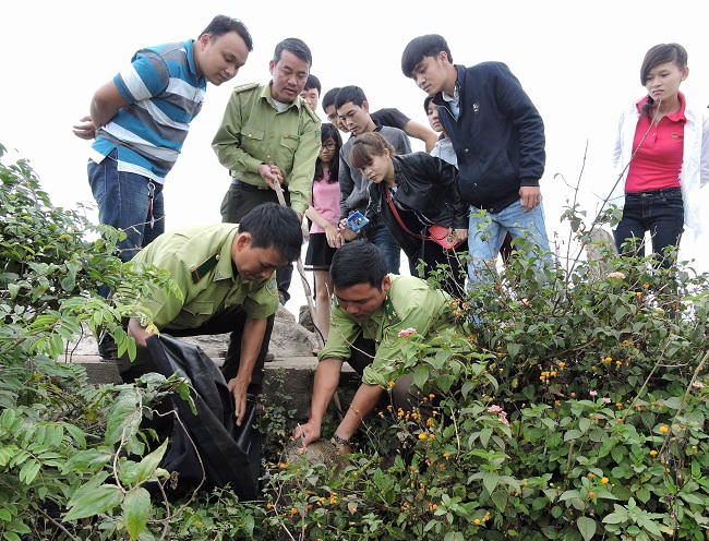 Kiểm lâm viên liên quân Sơn Trà - Ngũ Hành Sơn đang làm nhiệm vụ trên bán đảo Sơn Trà (Ảnh: SNNPTNTĐN).