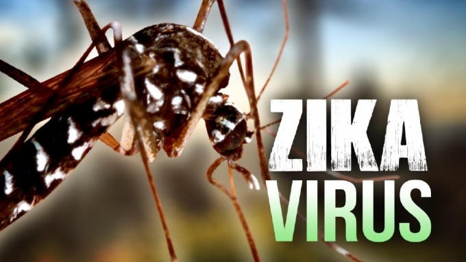 Hiện Mỹ đang tiến hành thử nghiệm vacxin phòng chống Zika trên người. Ảnh minh họa