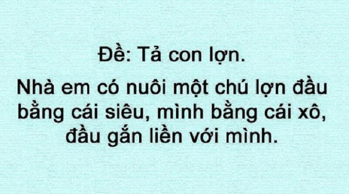 Tả con lợn.