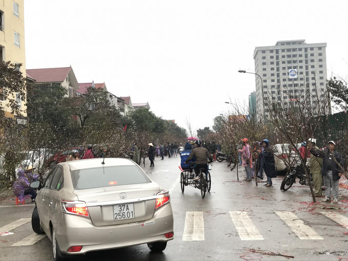"Phố hoa" ngậ sắc xuân.