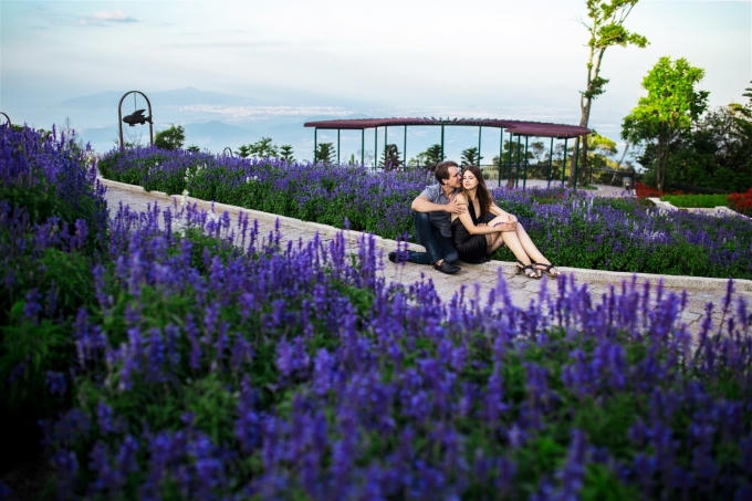 Khu vườn tình yêu muôn sắc hoa.