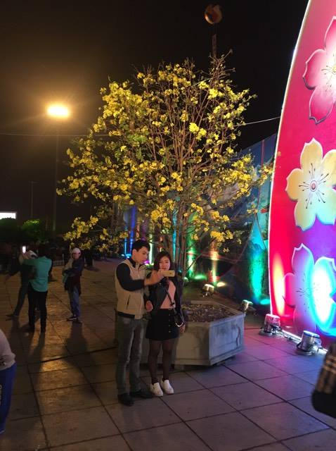 Du khách chụp ảnh lưu niệm tại khu trừng bày Mai vàng Yên Tử.