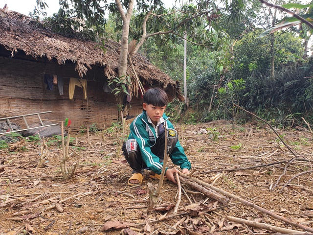 13 tuổi, Triệu phải thay mẹ chăm sóc bố