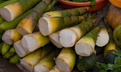 Nên luộc măng 2-3 lần trước khi dùng.