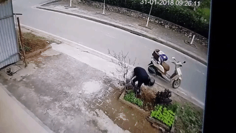Clip: Mua sẵn chậu, nam thanh ni&ecirc;n kh&ocirc;ng qu&ecirc;n