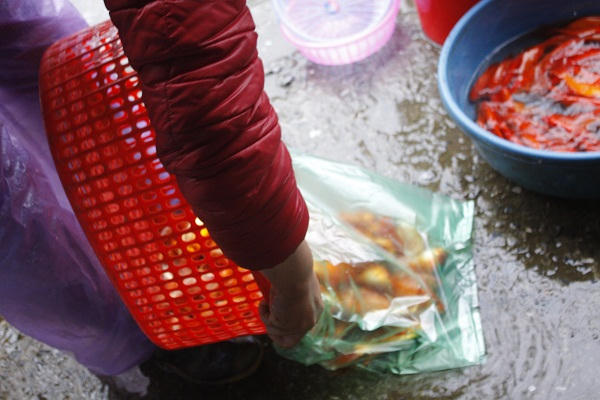 Sau khi các tiểu thương mua xong, cá được cho vào các túi nilon đựng nước và mang đi bán.