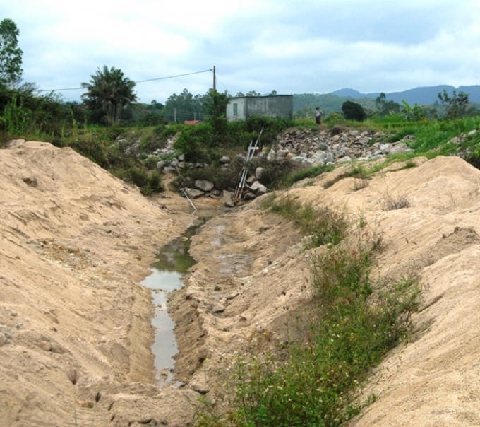 Vắt từng giọt nước cứu lúa.