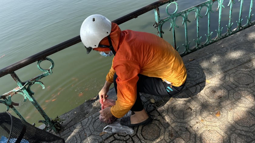 Một số người vẫn cố tình thả cá xuống hồ.