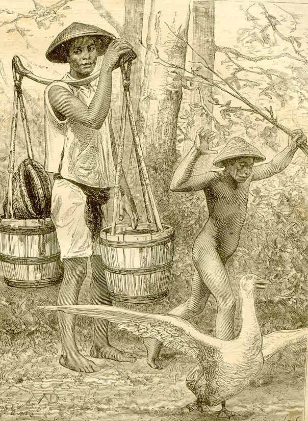 sai gon nam 1872 khac la qua goc nhin nha khoa hoc phap hinh anh 12