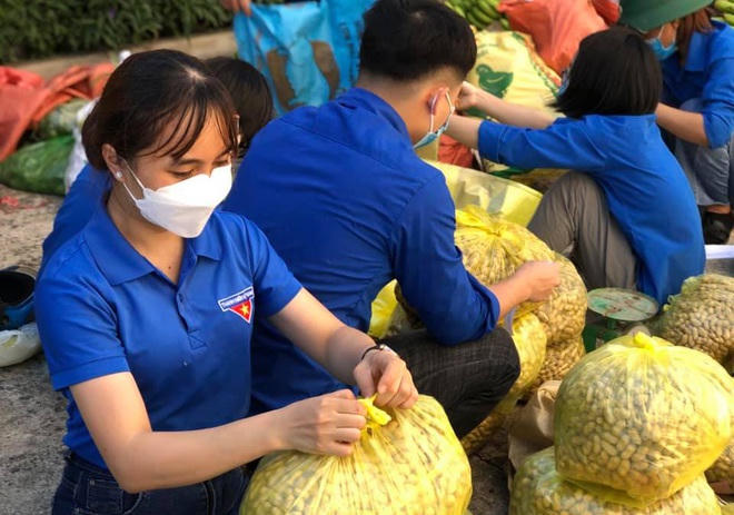 Lực lượng đoàn viên thanh niên hỗ trợ đóng lạc thành từng túi để thuận tiện trong vận chuyển và trao tận tay người dân vùng dịch.