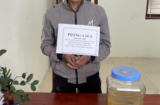 Thanh Hoá: Bắt đối tượng ma tuý, xây chòi trên núi cao để ẩn thân