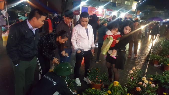 Khu vực bán các loại cây cũng luôn là địa điểm thu hút được nhiều người.