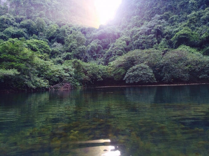 Toàn bộ khu du lịch sinh thái đều được phủ bằng một màu xanh dịu mát.