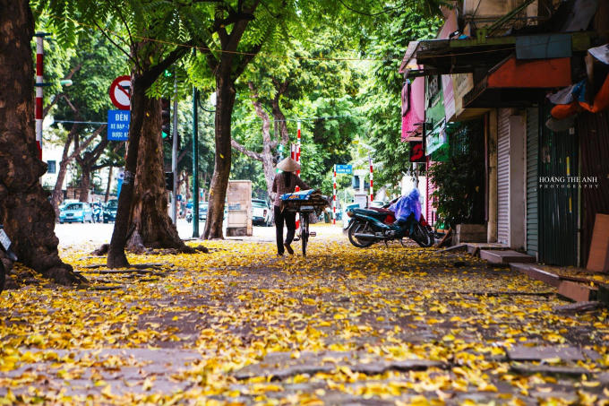 Nguồn: Sưu Tập
