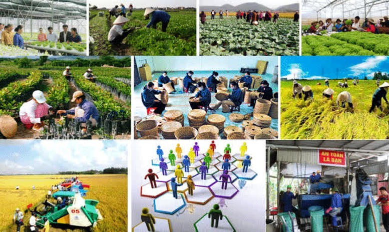 Quy định mới về thành lập Quỹ hợp tác xã địa phương (Ảnh minh họa: Baochinhphu.vn).