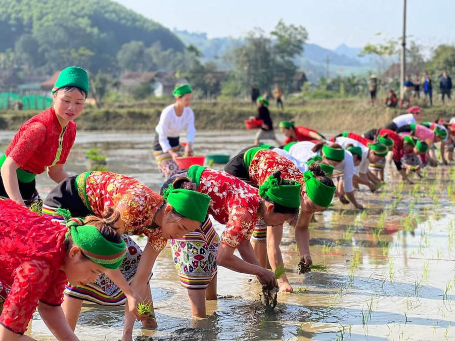 FB_IMG_1674993211645