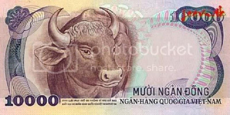 Hình ảnh trâu từng được in lên tiền của Việt Nam.