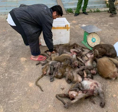 74c0586792247b7a2235