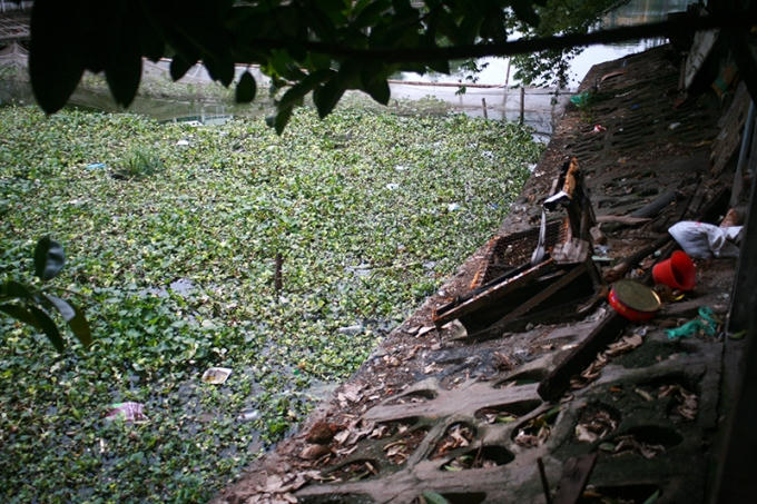 Đủ mọi loại rác rến ngập ngụa