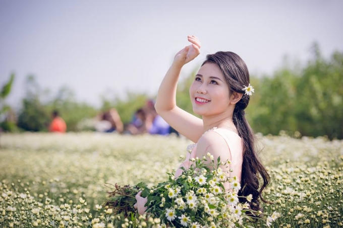 Cúc họa mi “tinh khôi” xuống phố…