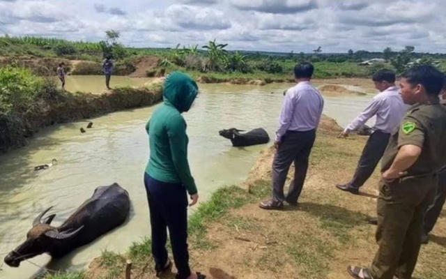 Đắk Lắk: Rủ nhau ra ao gần nhà chơi hai chị em đuối nước thương tâm