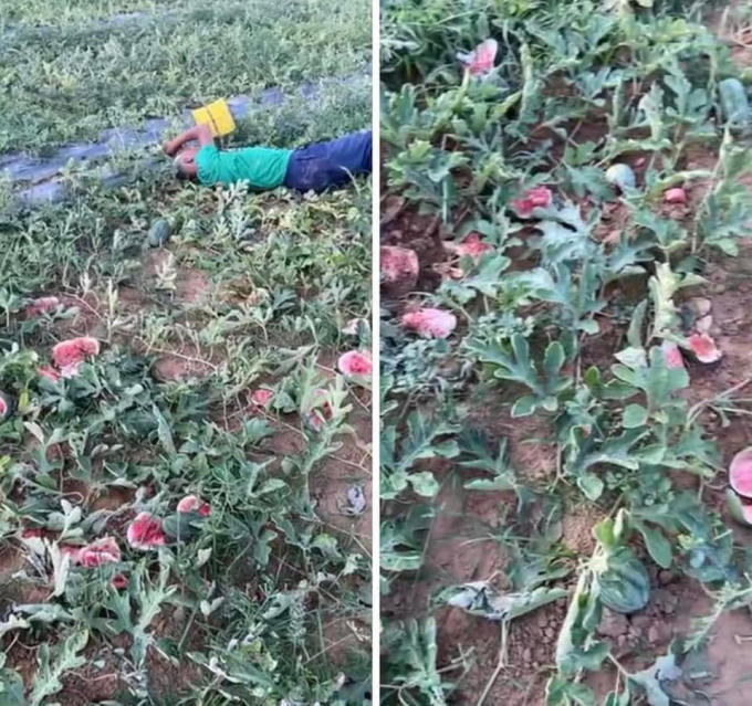 291958087_2102102363294389_7042834094931892233_n