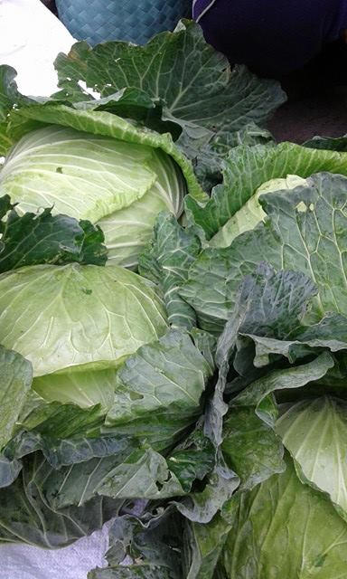 Bắp cải trong tết 8 nghìn đồng/kg, sau tết chỉ còn 5 nghìn đồng/kg.