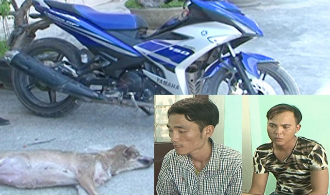 Hai đối tượng trộm chó rồi đâm chết chủ nhà bị cơ quan điều tra bắt giữ. (Ảnh: Công an Thanh Hóa cung cấp)