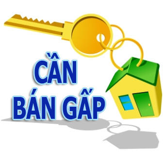 Các thông tin rao bán nhà được nhiều người quan tâm nhưng chủ yếu đến từ phía môi giới