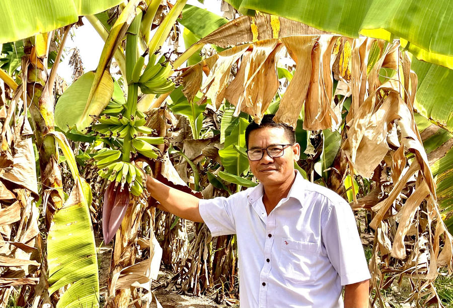 Anh Nguyễn Văn Thực, một người dân sinh sống tại Tân Châu, Tây Ninh cho biết: “tôi sinh sống và chuyên làm nông nghiệp tại tỉnh này, thường trồng các loại cây ngô, khoai mì, sắn, chuối... thời gian gần đây có nhiều bạn trẻ đến tham quan và chụp ảnh tại các khu trồng trọt của tôi, đồng thời cũng xin phép tôi để tự tay thu hoạch nông sản. Tôi rất vui và cảm nhận được sức sống mới trên cánh đồng của mình”.