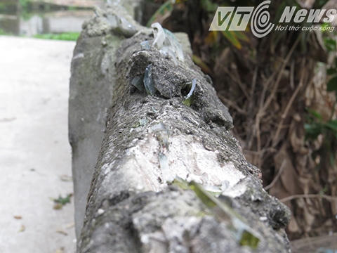 Bờ tường cắm mảnh chai nơi ông Khá trèo qua bị thương.