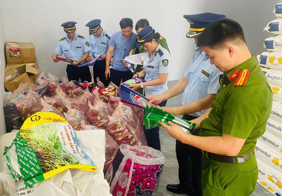 Nhiều vụ việc được lực lượng chức năng phát hiện, xử lý.