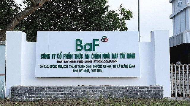 Ảnh minh họa. (Nguồn: Tạp chí Tài chính Tiền tệ)