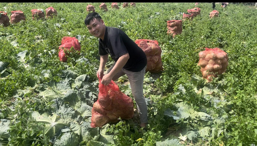 7